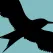 CCA Icon