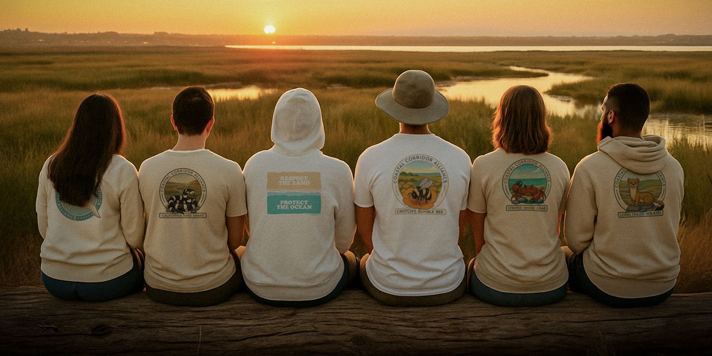 Coastal Corridor Alliance  - Sunset